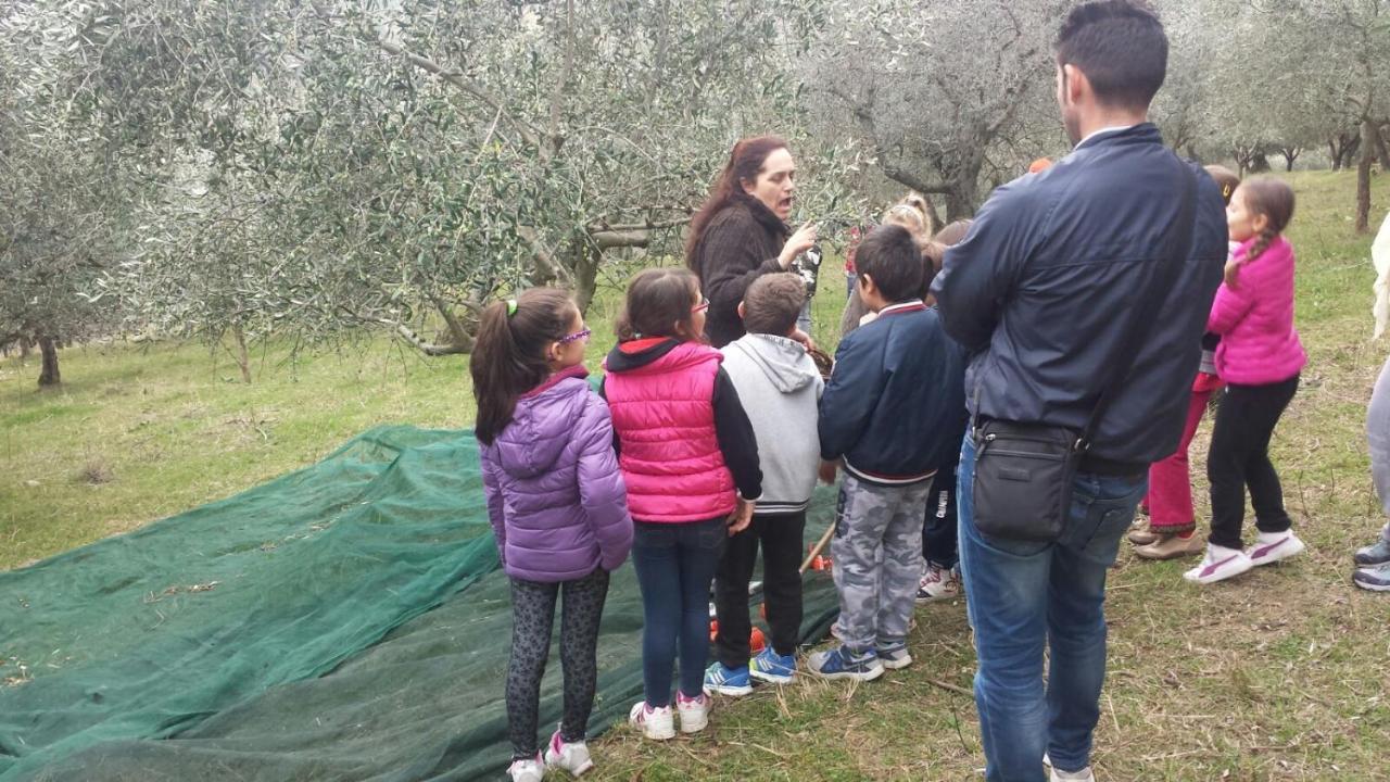 Societa Agricola F.Lli Angelucci Villa Cannara Eksteriør bilde